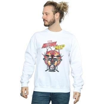 Sweat-shirt Marvel Drummer Ant