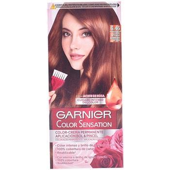 Colorations Garnier Sensation De Couleur Intensissimos 6.46-cuivre Int...