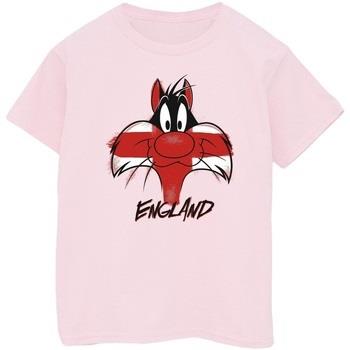 T-shirt enfant Dessins Animés BI25526