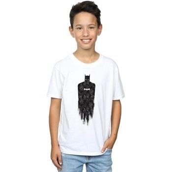 T-shirt enfant Dc Comics Batman Brushed