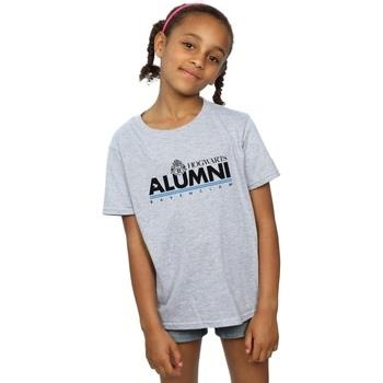 T-shirt enfant Harry Potter Hogwarts Alumni Ravenclaw