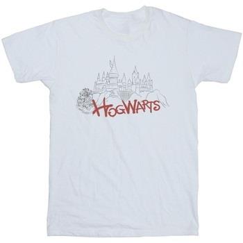 T-shirt enfant Harry Potter Hogwarts Castle Spray