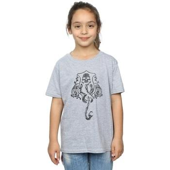 T-shirt enfant Harry Potter BI20820