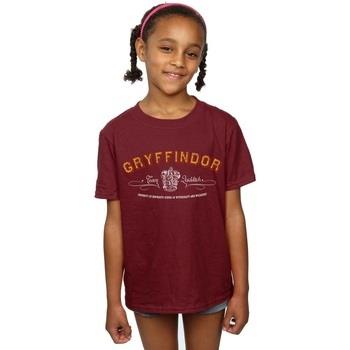 T-shirt enfant Harry Potter Gryffindor Quidditch