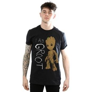 T-shirt Marvel Guardians Of The Galaxy I Am Groot