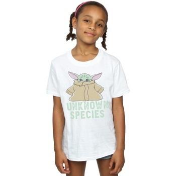 T-shirt enfant Disney The Mandalorian Unknown Species