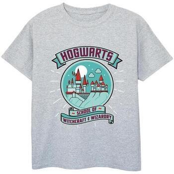 T-shirt enfant Harry Potter BI21765