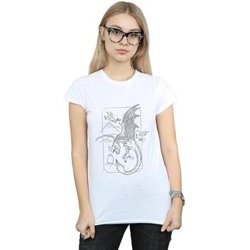 T-shirt Harry Potter BI23355