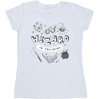 T-shirt Harry Potter BI24181