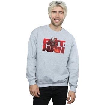 Sweat-shirt Marvel Ant-Man Running