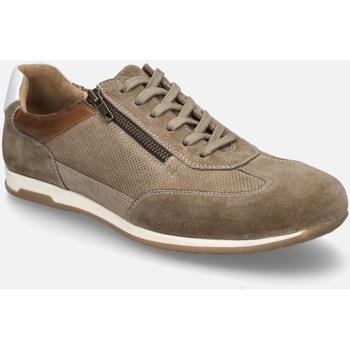 Ville basse Josef Seibel Colby 03, taupe-multi