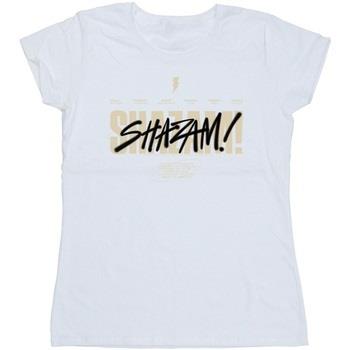 T-shirt Dc Comics Shazam Fury Of The Gods Vandalised Logo
