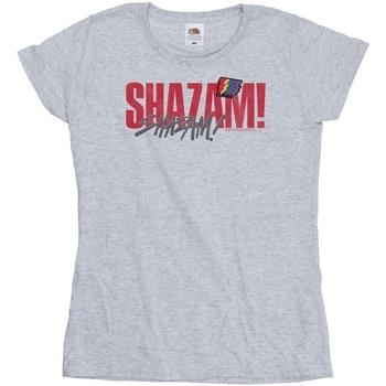 T-shirt Dc Comics Shazam Fury Of The Gods Pride Distress