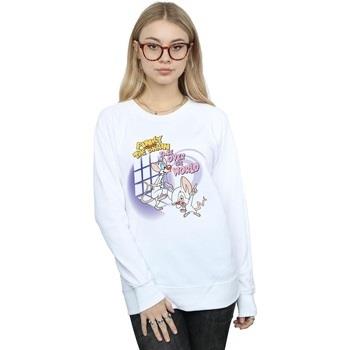 Sweat-shirt Animaniacs Pinky And The Brain Take Over The World