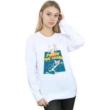 Sweat-shirt Animaniacs Pinky And The Brain Laboratory