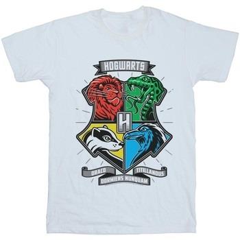 T-shirt Harry Potter BI27510