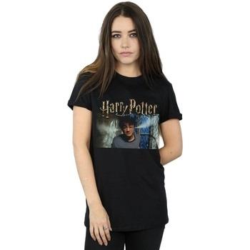 T-shirt Harry Potter Steam Ears