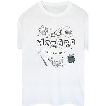 T-shirt Harry Potter BI28009