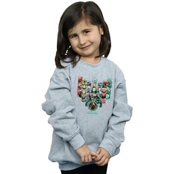 Sweat-shirt enfant Dc Comics Unite The Kingdoms