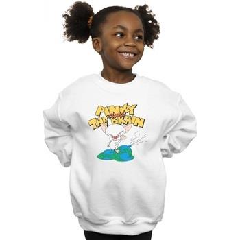 Sweat-shirt enfant Animaniacs World Domination