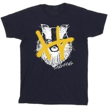 T-shirt Harry Potter Hufflepuff Pop Spray