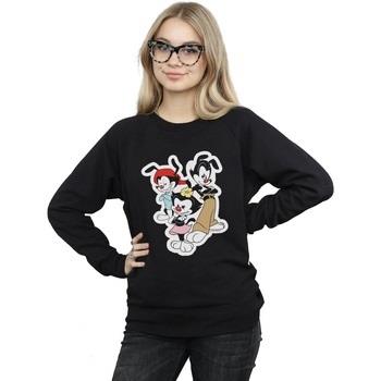 Sweat-shirt Animaniacs Dot Wakko And Yakko