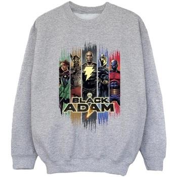 Sweat-shirt enfant Dc Comics JSA