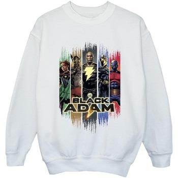 Sweat-shirt enfant Dc Comics JSA