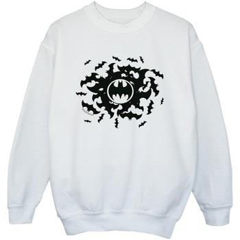 Sweat-shirt enfant Dc Comics BI8022