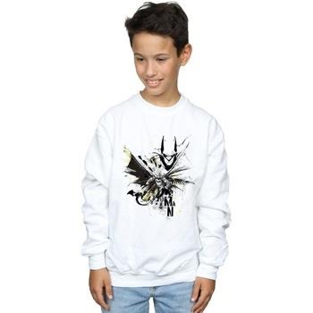 Sweat-shirt enfant Dc Comics BI7951