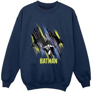 Sweat-shirt enfant Dc Comics BI8726