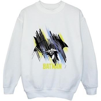 Sweat-shirt enfant Dc Comics BI8726