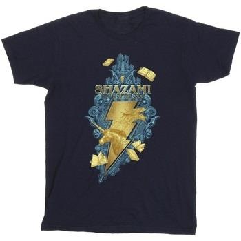 T-shirt Dc Comics Fury Of The Gods