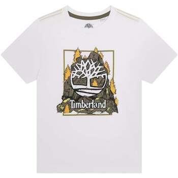 T-shirt enfant Timberland 163473VTPE24