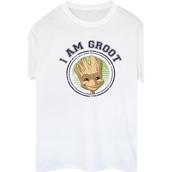 T-shirt Guardians Of The Galaxy Groot Varsity