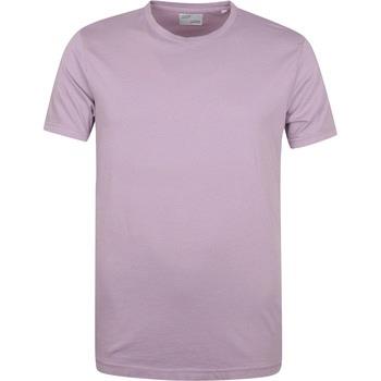 T-shirt Colorful Standard T-shirt Violet
