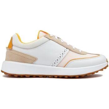 Chaussures Cole Haan Grand Crosscourt Meadow Baskets Style Course