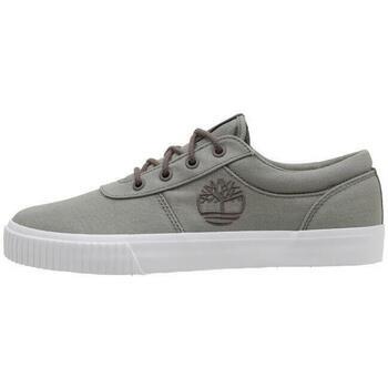 Baskets basses Timberland MYLO BAY LOW LACE UP