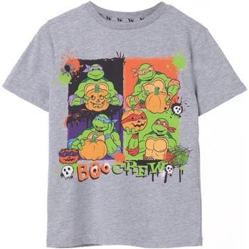 T-shirt enfant Teenage Mutant Ninja Turtles Boo Crew
