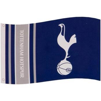 Accessoire sport Tottenham Hotspur Fc TA5703