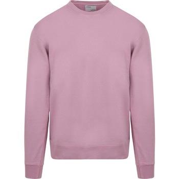 Sweat-shirt Colorful Standard Pull Violet