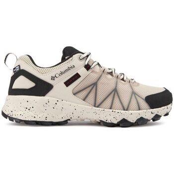 Chaussures Columbia Sportswear Peakfreak Outdry Formateurs