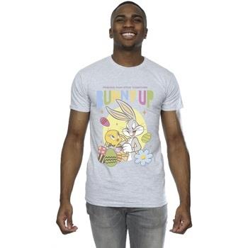 T-shirt Dessins Animés Bunny Up