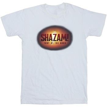 T-shirt enfant Dc Comics Shazam Fury Of The Gods 3D Logo Flare