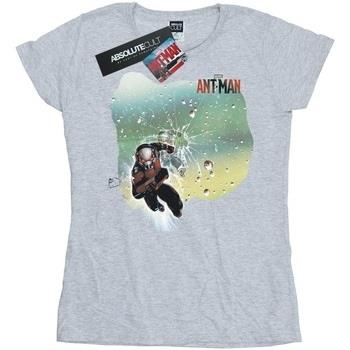 T-shirt Marvel Ant-Man Shatter
