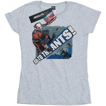 T-shirt Marvel Ant-Man Go To The Ants