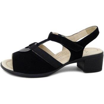 Sandales Ara Femme Chaussures, Sandales, Confort, Daim-1235730