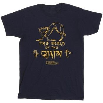 T-shirt enfant Fantastic Beasts: The Secrets Of Magic Hieroglyphs