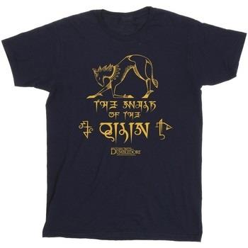 T-shirt enfant Fantastic Beasts: The Secrets Of BI50573