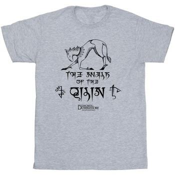 T-shirt enfant Fantastic Beasts: The Secrets Of Magic Hieroglyphs